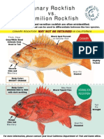 Canary Vs Vermillion Id - DFG