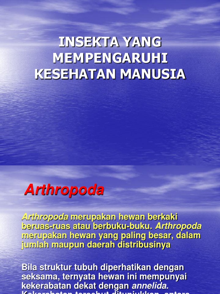 Insecta Dan Arthropoda Ppt