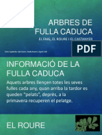 Arbres de Fulla Caduca