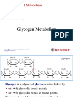 9 Glycogen 1