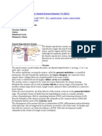 The Histology of Female Genital System Semester VI