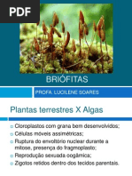 BRIÓFITAS