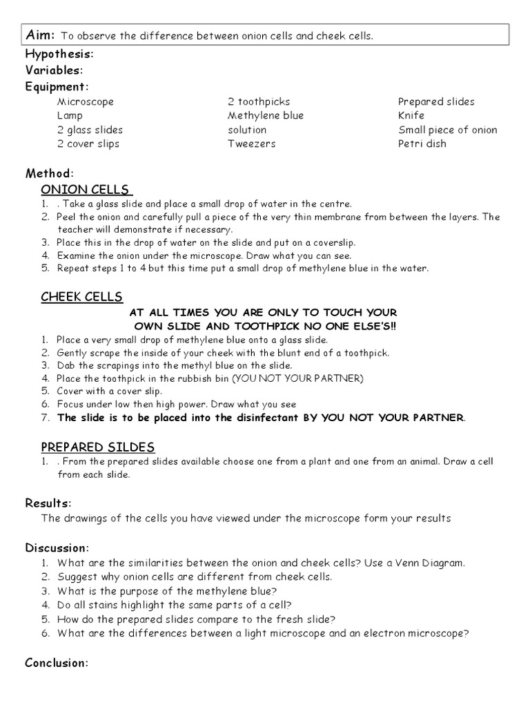 Prac Onion and Cheek Cells PDF Experiment Hypothesis