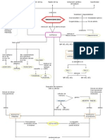 Mapa Conceptual INMUNOGENICIDAD Scrib