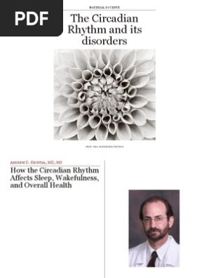 How the Circadian Rhythm Affects Sleep, Wakefulness, And Overall Health