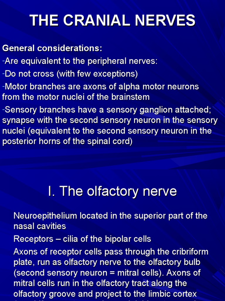 The Cranial Nerves - Lecture 3 | PDF | Visual System | Olfaction