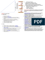 Sistema Endocrino