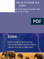 Animal Ed in Altet Ari