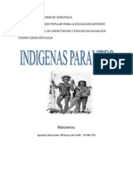 Indigenas Aparautes