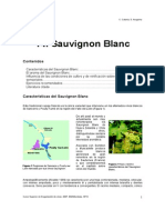 14-1. Sauvignon Blanc