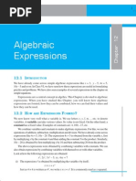 Download Algebraic Expressions by rohaba SN21066413 doc pdf
