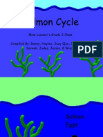 Salmon Cycle Powerpoint