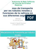Mecanismos de transporte y función de la nefrona.