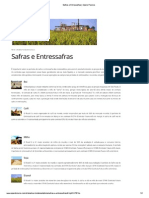 Safra e Entressafra.pdf