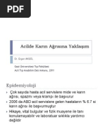 Karın Ağrısına Yaklaşım PDF