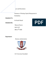 Ali Farhan, Asignment#2 (Summary of Working Capital Management & Profitability