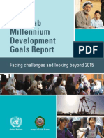 The Arab Millennium Development Goals Report Facing Challenges and Looking Beyond 2015