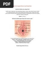 12 Cara Membedakan Wanita Masih Perawan Dengan Tidak Perawan Tanpa ...