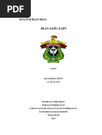 Download ikan sapu-sapu by Ika Rahma Dewi SN210754883 doc pdf