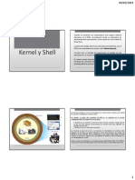 Shell y Kernel