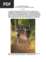 “'This Napsack I carryd through the war of the Revolution'