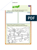 Guía de Trabajo Ciencias Naturales 1° Básico