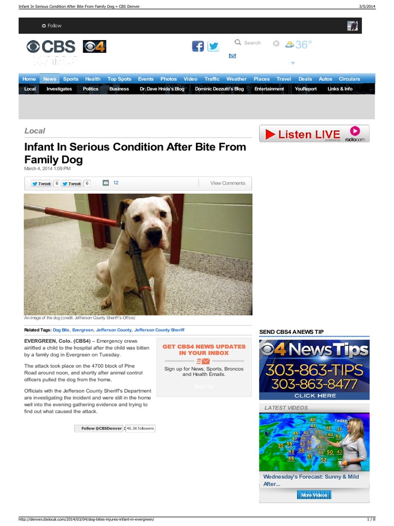 Infant in Serious Condition After Bite From Family Dog CBS-1 | PDF ...