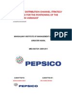 studyofdistributionchannelstrategyofpepsicoforthepositioningoftheproductinvaranasi-131205121751-phpapp02