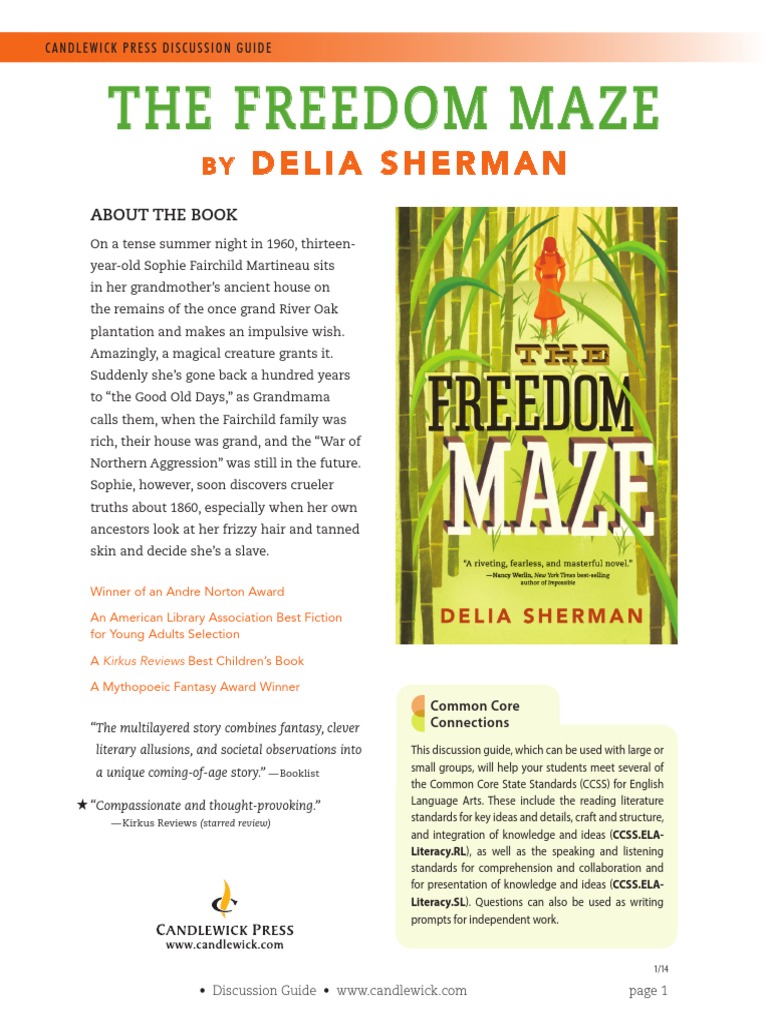 The Freedom Maze Discussion Guide PDF