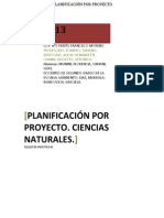 PLANIFICACIÓN POR PROYECTO PDF
