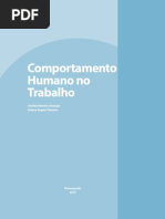 Web Comportamento Humano No Trabalho