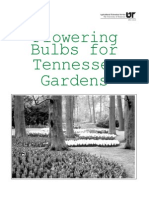 Flowering: Tennessee Bulbs For