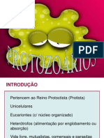 Protozoarios Aula