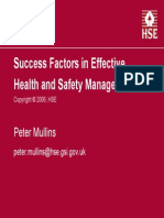 H&S Success Factors