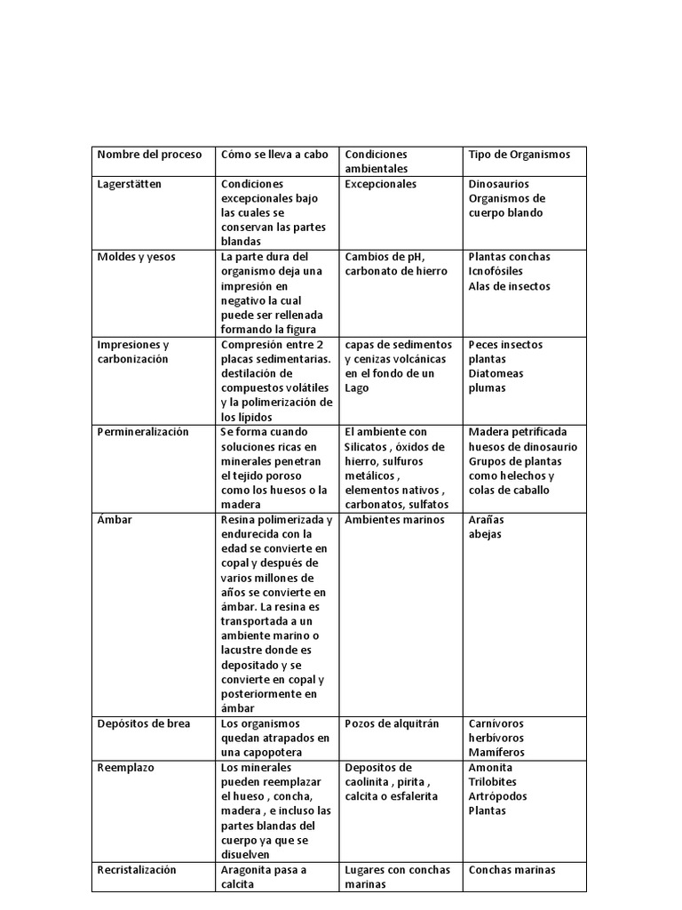 Tabla de Tipos de Fosilizacion | PDF | Fósil | Minerales