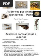 Acidentes por Animais Peçonhentos – Parte II