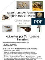 Acidentes Por Animais Peçonhentos - Parte II