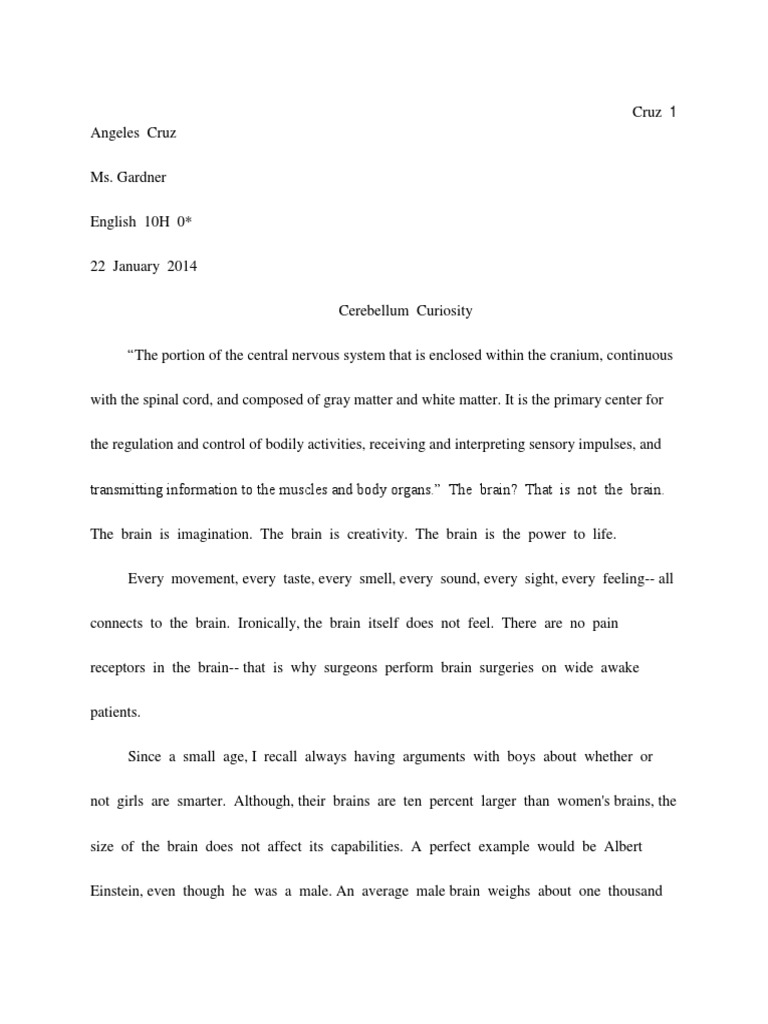 Nervous system reflection essay picture