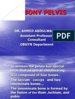 The Bony Pelvis: Dr. Ahmed Abdulwahab Assistant Professor, Consultant OBGYN Department