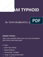 Demam Typhoid