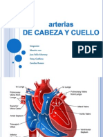 Vascularizacion Cabeza y Cuello