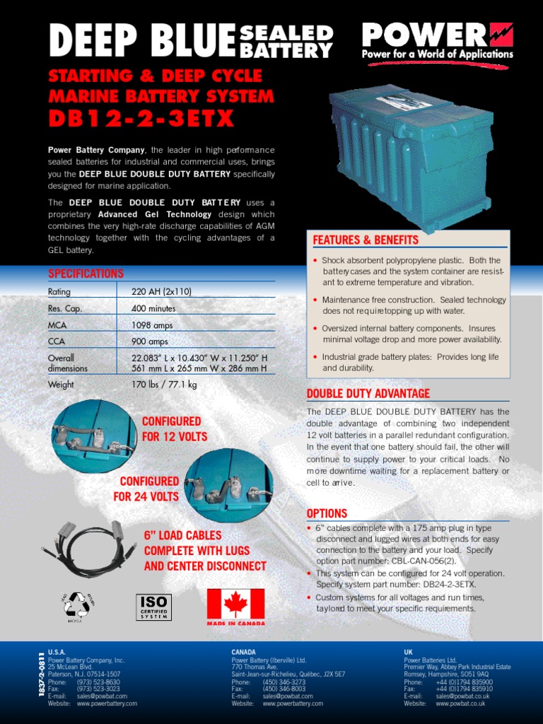Blue Battery | PDF | Battery (Electricity) | Volt