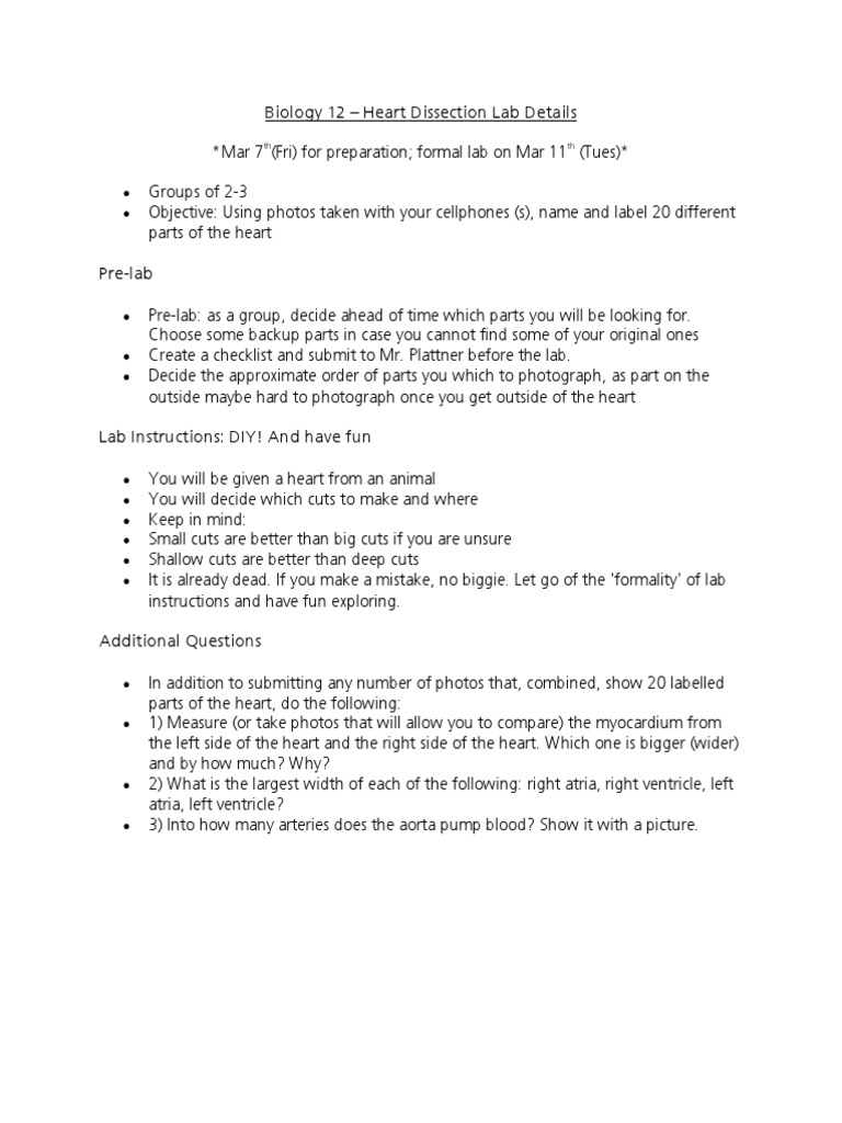 Bio 12 Heart Dissection Lab Details PDF