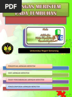 Download JARINGAN MERISTEM by Temuningsih SN210946298 doc pdf