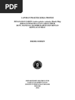 Download 29012014_PKL by Adi Dzikrullah Bahri SN210957702 doc pdf