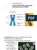 Karyotyping