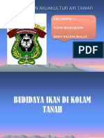 BUDAYA IKAN KOLAM TANAH