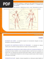 03 Sistema Muscular