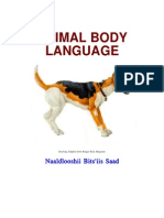 Animal Body Language