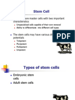 Stem Cell: Stem Cells Are Master Cells With Two Important Characteristics